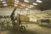 c126.jpg (43343 byte)