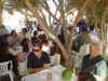 dsc00652.jpg (474845 byte)