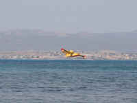 canadair_cl415_5.jpg (89633 byte)