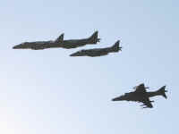 harrier_01.jpg (32329 byte)