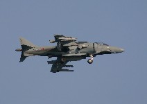 harrier